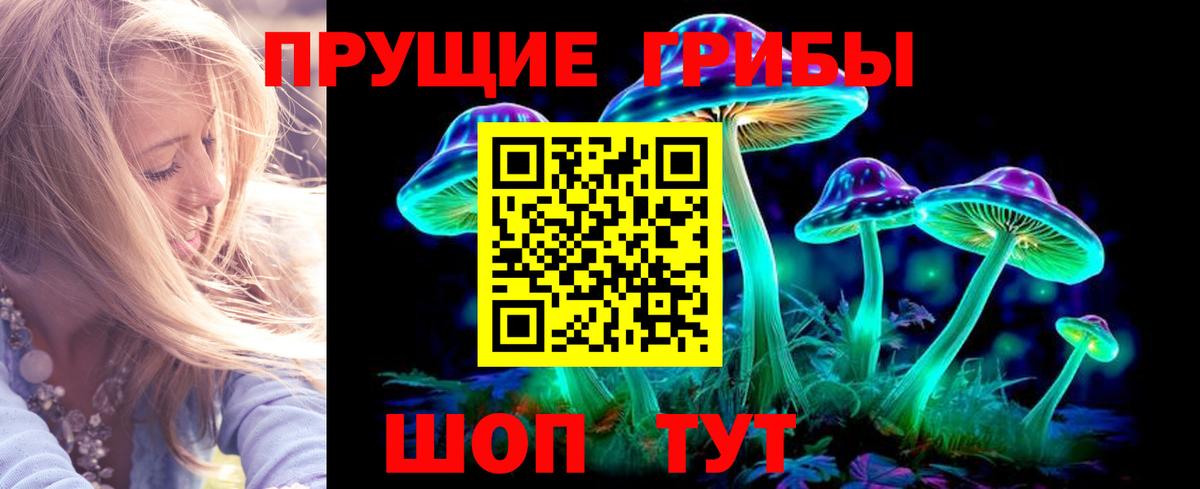 Псилоцибиновые грибы мицелий Рассказово